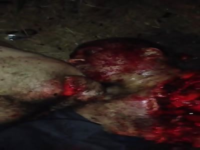 Possibly the Most Crushed and Mangled Man this Week in YNC