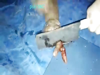 Fingers Chopped Off Criminal by Armed group in Haram