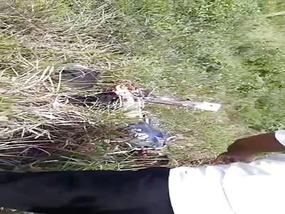 ACCIDENT WITH FATAL VICTIM