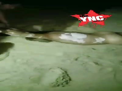 Body found drowned by the sea