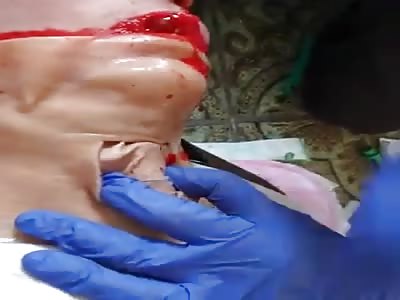 What the Fuck is Going on Here?