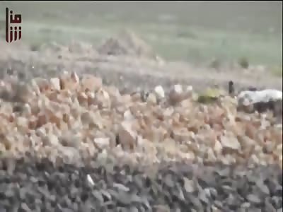 Video shows HTS sniper killing regime fighter in Southern Aleppo