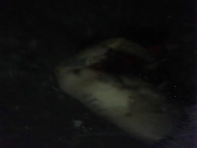 man founded brutally murdered