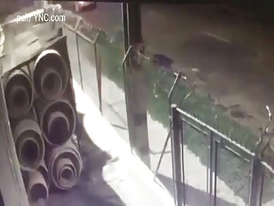 Taxi Driver Intentionally Run Over and Kills Couple on the Road