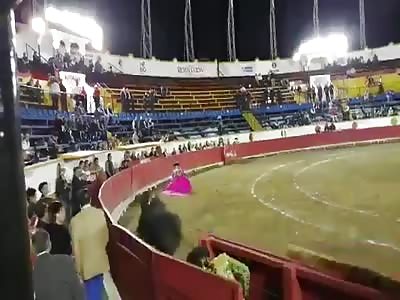 The Mexican bullfighter HildaTenorio suffers goring horns in the face
