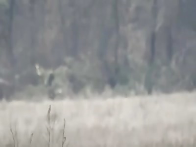 DNR sniper and Ukrainian poachers