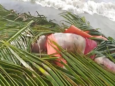 Body without life - Salvador / Brazil