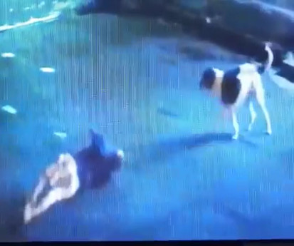 Off Duty Cop Doesn't Make it Out of Robbery Alive