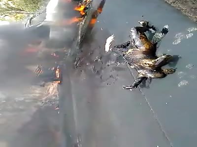 (another angle) Teacher dies burned after accident