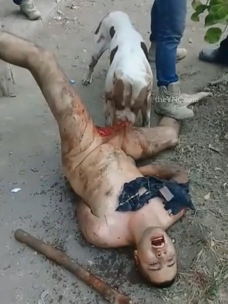  BRUTAL: Cartel Sics Dogs on Alleged Rapist's Balls