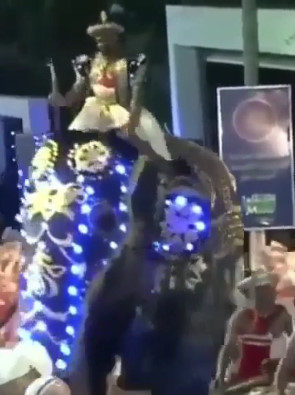 Elephant Gores the Shit Outta People