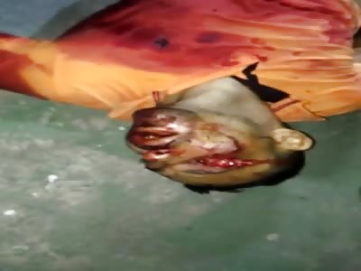 Man is killed with multiple shots