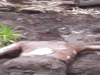 Murder find lifeless life tied to the feet 