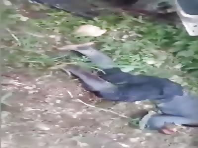 Eight FARC dissidents died in a rural area of â€‹â€‹the Cgmto.  