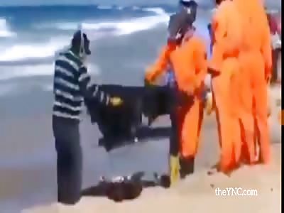 Corpses on the shore.  the bodies of those who died from the corona vi