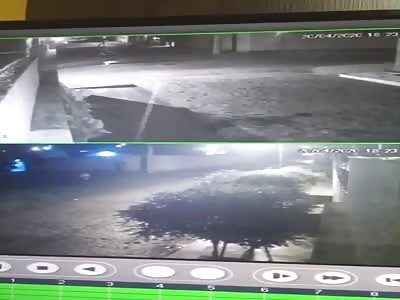 Hitman.. Exact moment that young in shot 