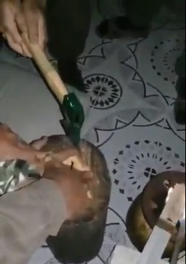 Captive Has His Finger Crudely Chopped Off with Hatchet as Punishment