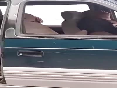 Mexico. GuanajuatoThey run 3 males. 