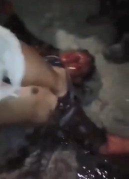 Baseball is Popular in Brazil too