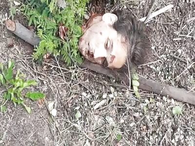 serious accident the driver's head was cut off