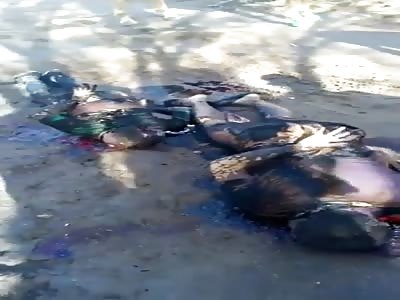 shocking two bodies tied mutilated 