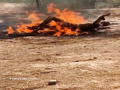 Another Angle .. Man Burned Alive by (Mexican Cartel)