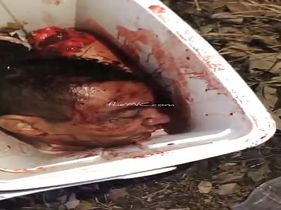 The Things You Find Walking in Brazil