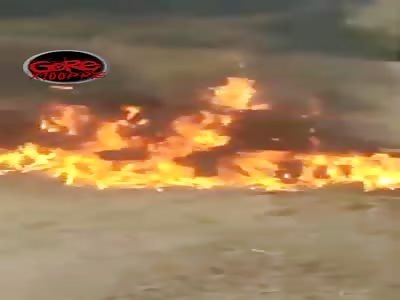 Comunnity Burn Thief Alive.