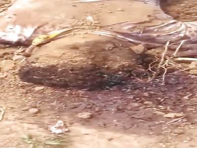 man beaten to death, head exploded 