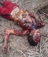 Dude Became Vulture Snack.