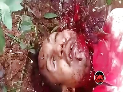 Gruesome Machete Murder Scene