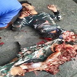 {NEW ANGLE} HOLY SHIT! CUT IN HALF AND STILL VERY ALIVE