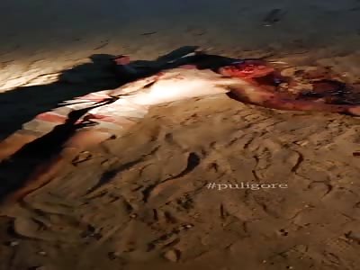 Murdered man with head shot Brazil