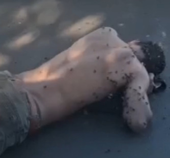 HOLY SHIT! Man Attacked by Killer Bees