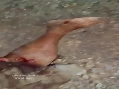 Accident with fatal victim.