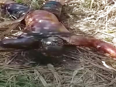 They find a woman in a state of putrefaction 