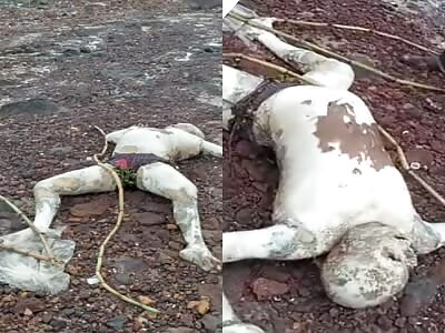 body found in a state of putrefaction 