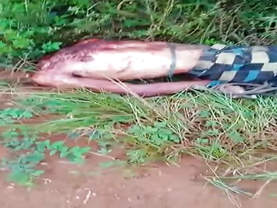 They find a man beheaded by rivals