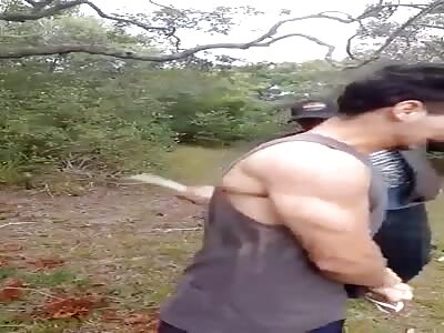 palotherapy for thief