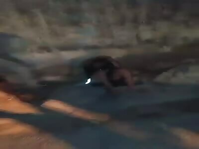 a bad day for a thief