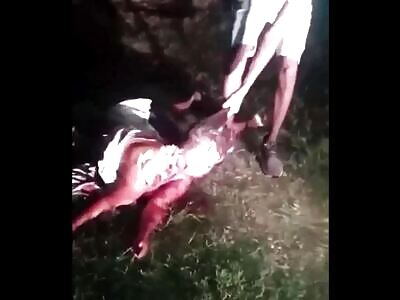 Brutal Gore Mash Up (Compilation)