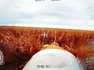 Failed Surrender....