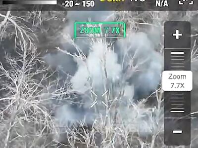 Extermination of Russhits near Pokrovsk