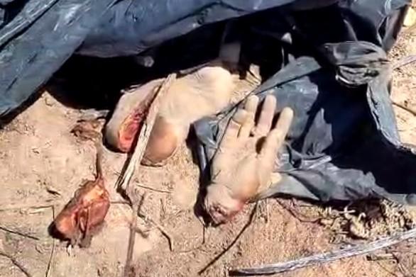 Man Dismembered By Gang And Left In Plastic Bag