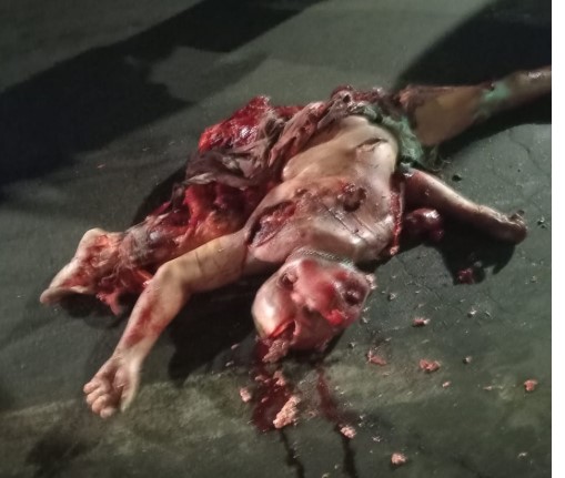 Brazilian man turned into a pizza in the city of Vila Velha, Brazil.