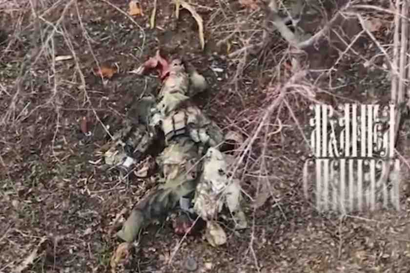 Ukrainian paratroopers massacred. 
