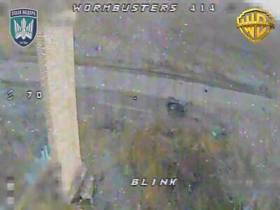 WORMBUSTERS compilation.