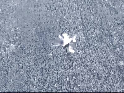 Rubaka & Wild Hornets Compilation (Made By Me)