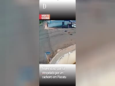 MAN DIE AFTER BEING KNOCKED DOWN BY A DOG