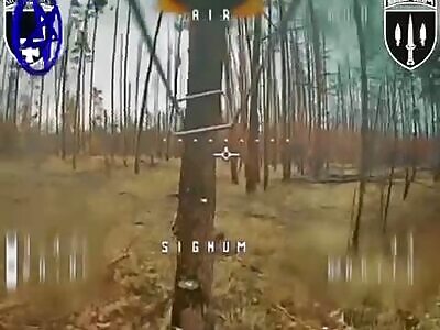 Exterminate The Pests, -14 Dead Russians (Compilation)